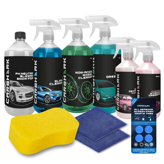 Car Cleaning Kit universal